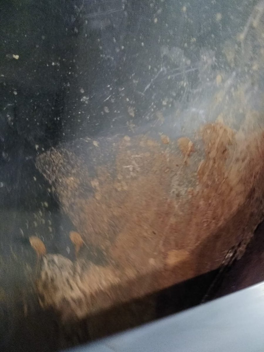 Fairy Bottom tweet media