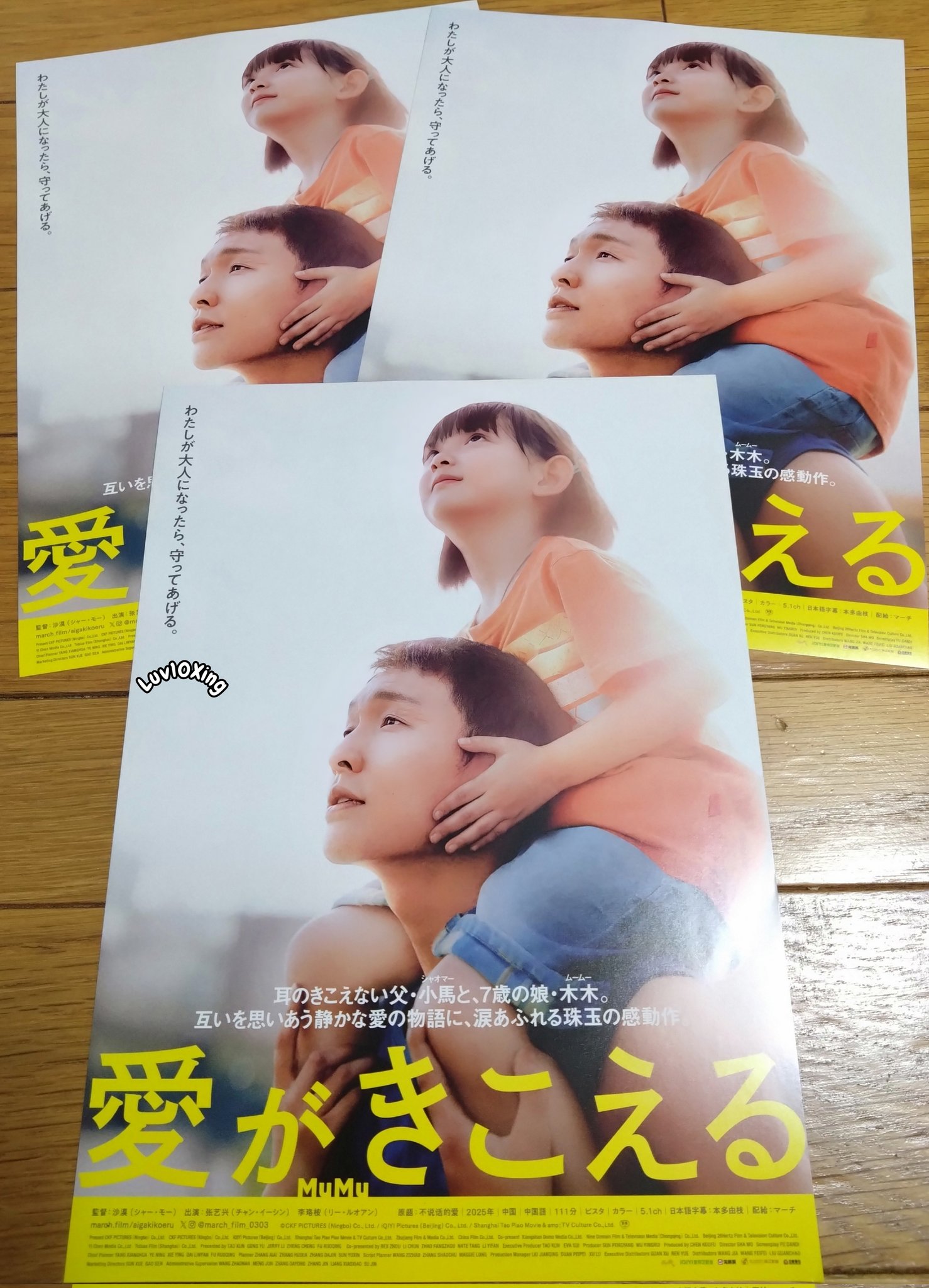 希少】LAREINE 指輪 会報 チラシ ポスター CD 新聞 葉書 2025年最新