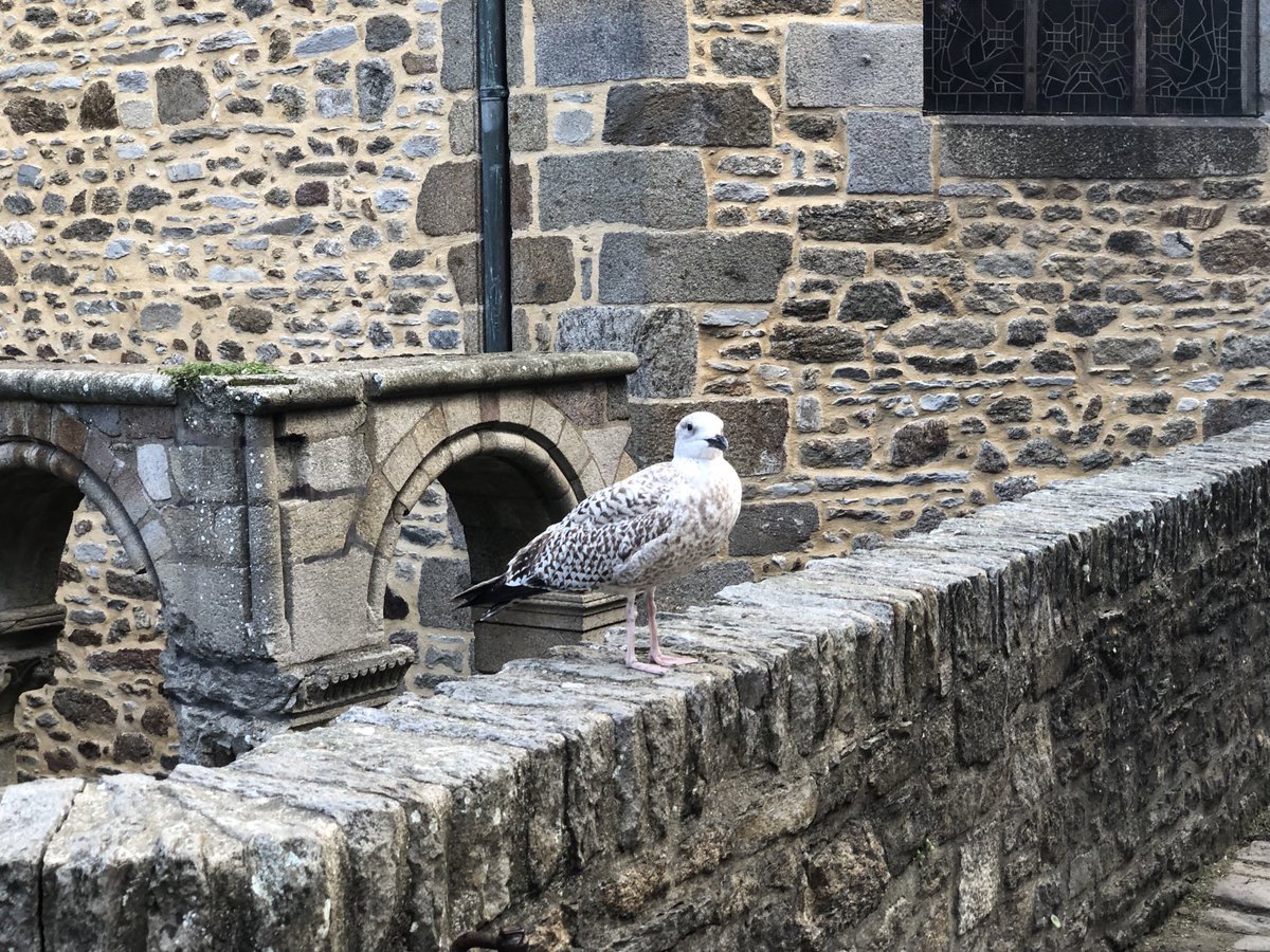 vivascarlett1's tweet image. #SaintMalo #Brittany #Bretagne #Breizh