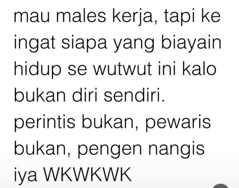 liaaaaja tweet media