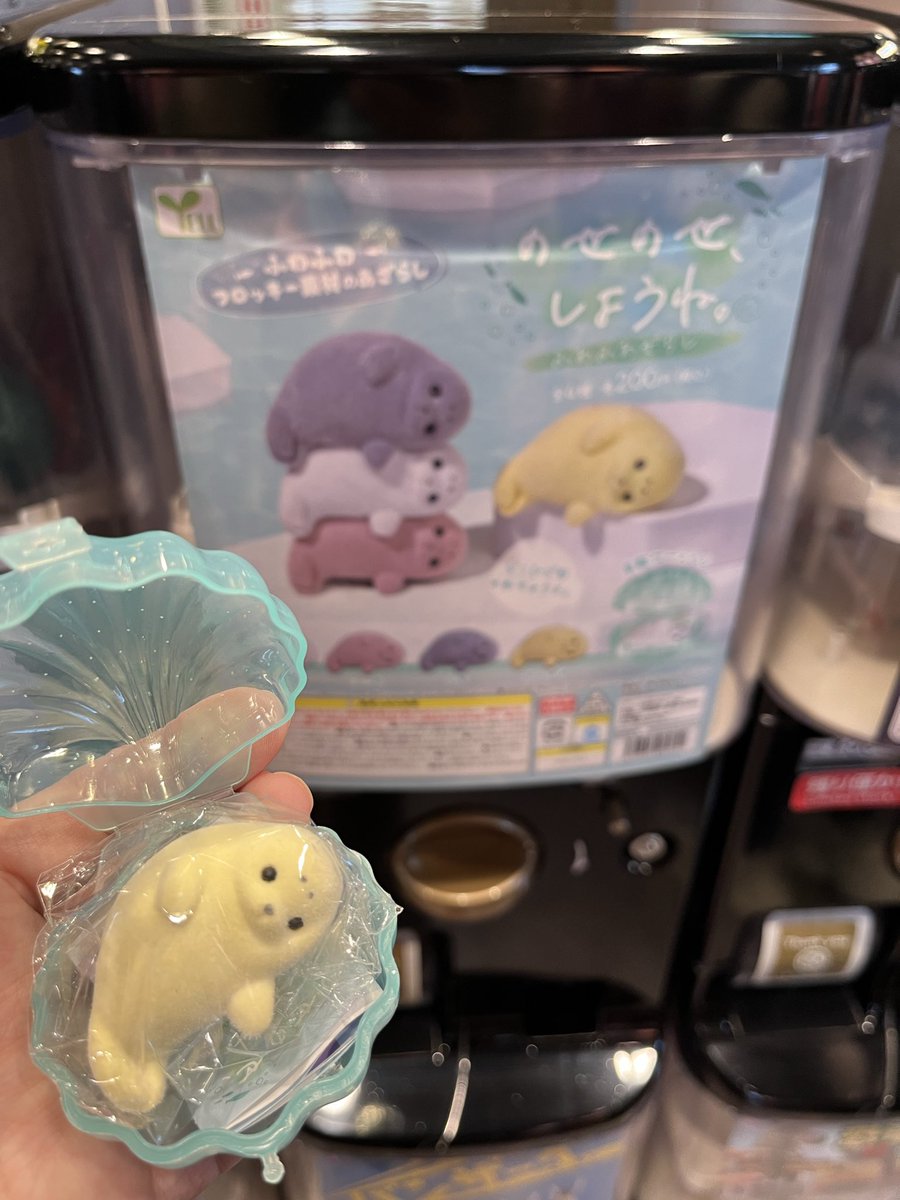 あいみょん🦭のアザラシに似てる！！って思ってやってしまった
ごま（🦭）狙ってたけどおもち（白い子）出た！って思ってよく見たらたんぽぽだった🌼癒し〜