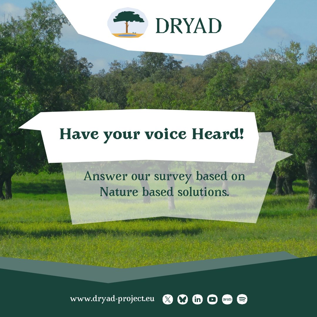 DryadEU's tweet image. 📢 The #DRYADSurvey is closing soon! 

Help us identify the best #NatureBasedSolutions for your region! 🌱🌿

🔸Select your language 
🔸Access the #NbS dossier 
🔸Take the survey

➡️ dryad-project.eu/survey/

#DRYADProject #MediterraneanEcosystems #ClimateResilience