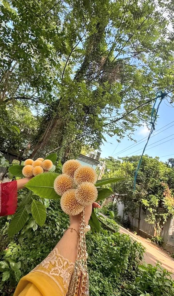 itzsamia_'s tweet image. What do you call this fruit in your area ? 👀