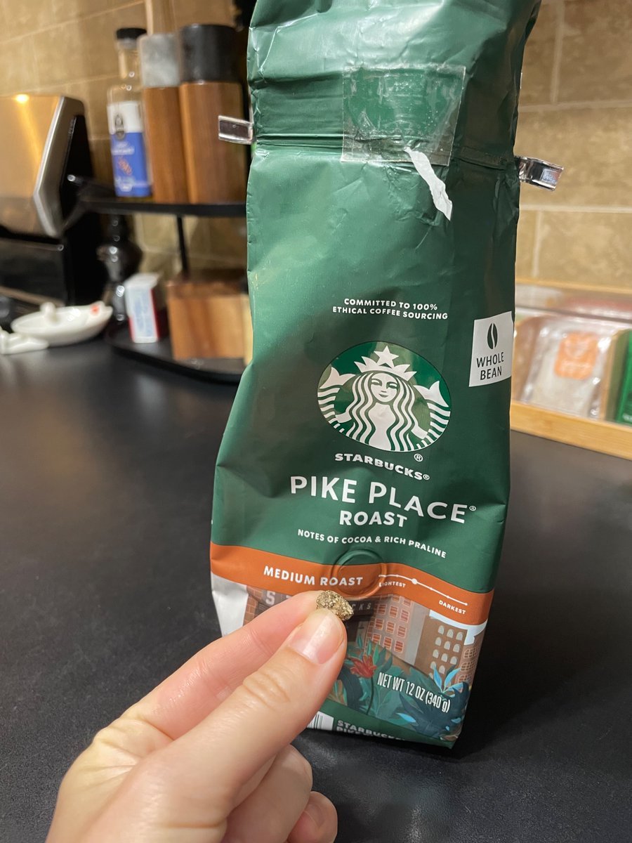 DaniMacPhoto's tweet photo. Interesting find in my @Starbucks Pike roast whole beans this morning. Glad this didn’t make it into my coffee grinder! https://t.co/TLpLVClmFT
