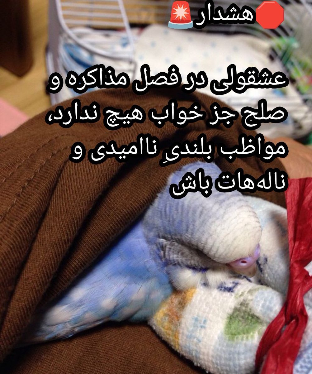 syzygy_ai0's tweet image.