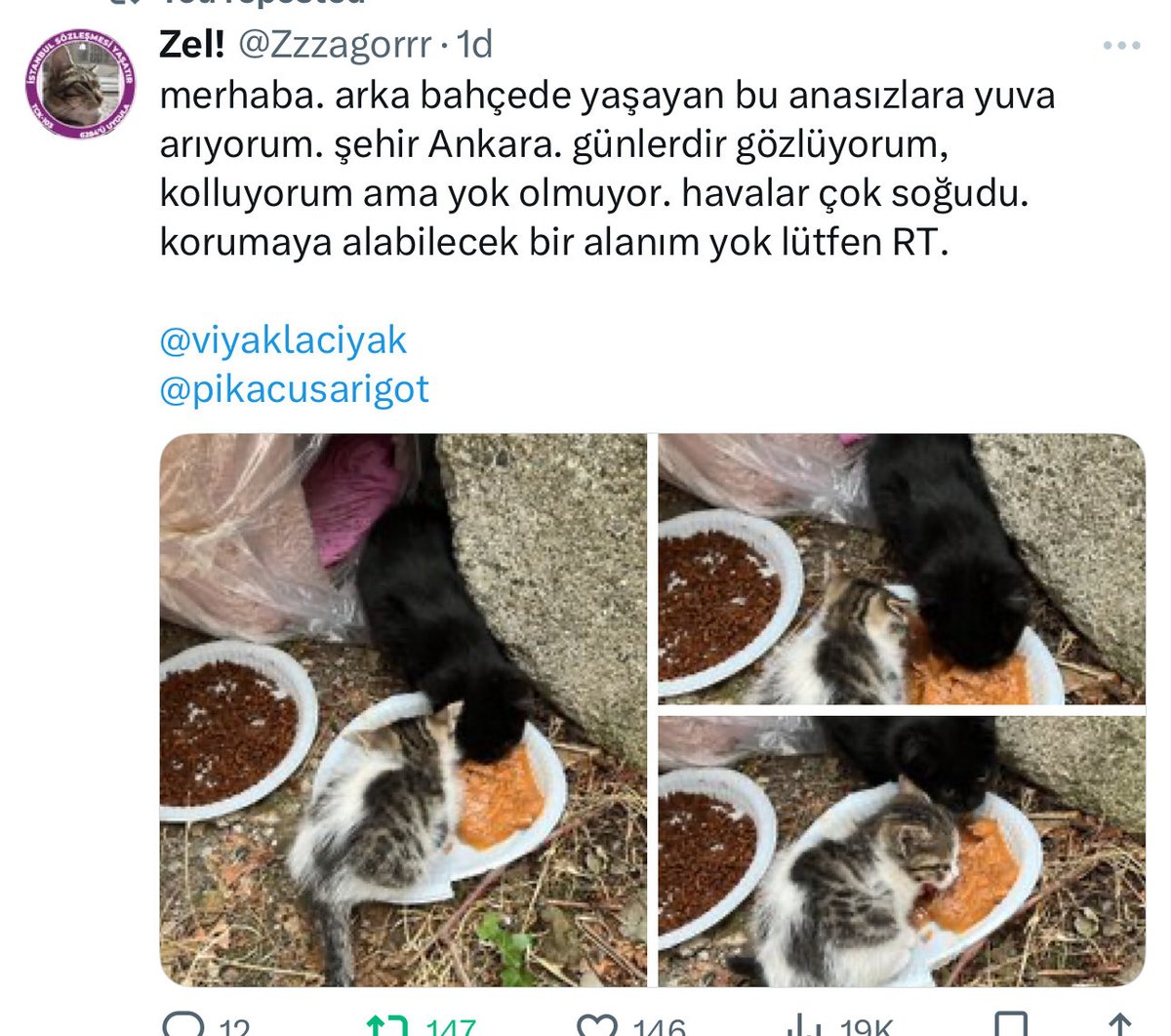 Tweet media one