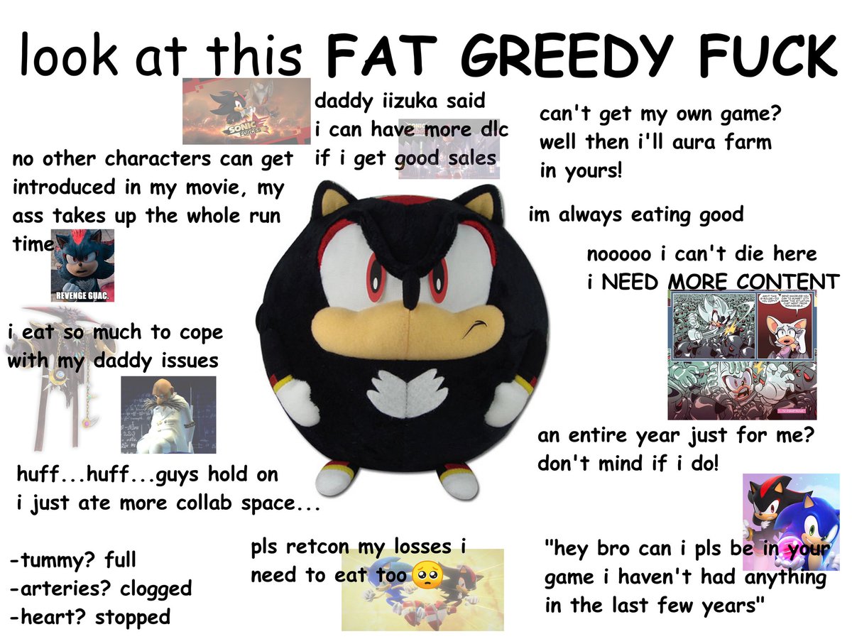 SonicGuyFan tweet media