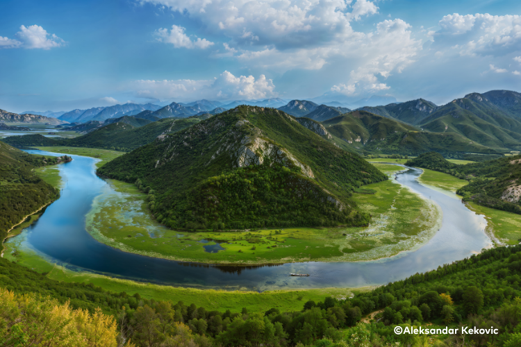 Travel Quotidiano tweet media