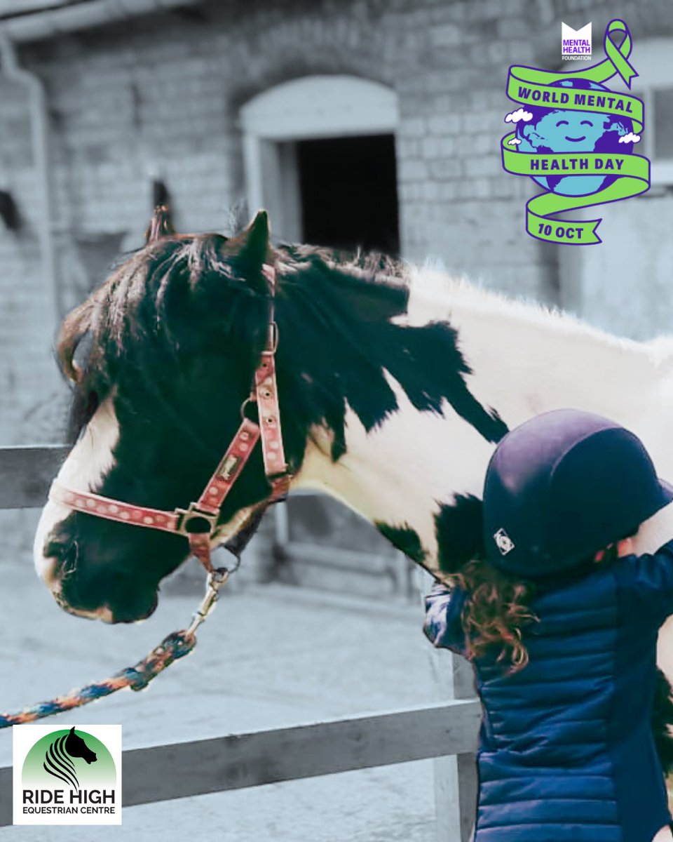 Ride High Equestrian Centre tweet media