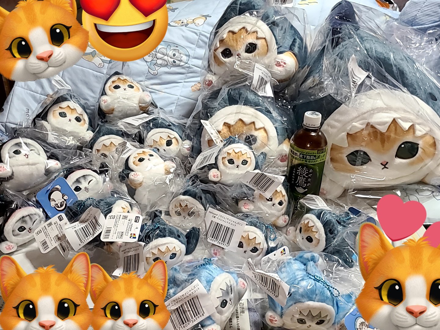 も*ふ様 ごろりん！サメにゃんズくじA賞3点セット【早い者勝ち】 も*ふ