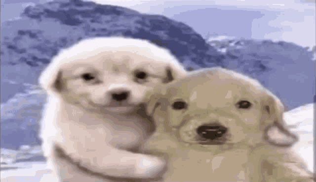 me and that one person I come running to whenever I have something to tell doesn't matter good or bad
