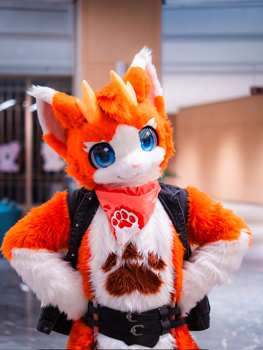 #FursuitFriday
龙龙生气，叉小腰！

摄影：@ahbule_