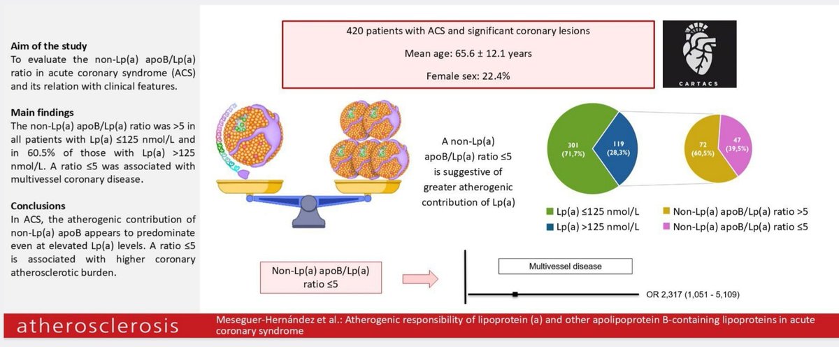 Atherosclerosis publishes our study (Cardiology &amp; Clinical Lab, Hospital St. Lucía @area2Cartagena)
"Atherogenic responsibility of lipoprotein (a) and other apolipoprotein B-containing lipoproteins in acute coronary syndrome" <a href="/franbuendia97/">Francisco Buendia Santiago</a>  <a href="/J_M_Andreu/">JM Andreu Cayuelas</a>  <a href="/ameseguer97/">Antonio Meseguer</a> <a href="/SMurCardio/">Sociedad Murciana de Cardiología</a>