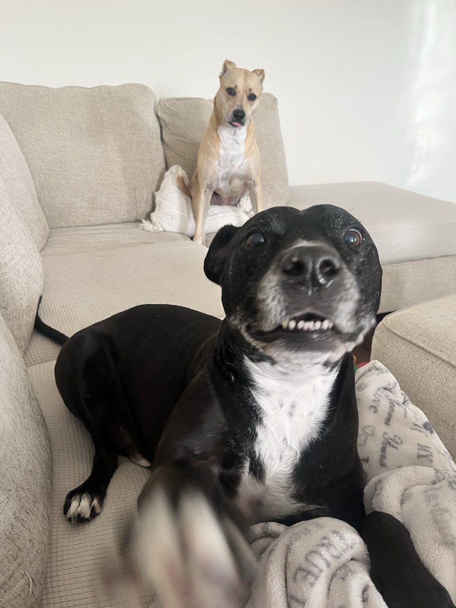 Scott Carpenter tweet media