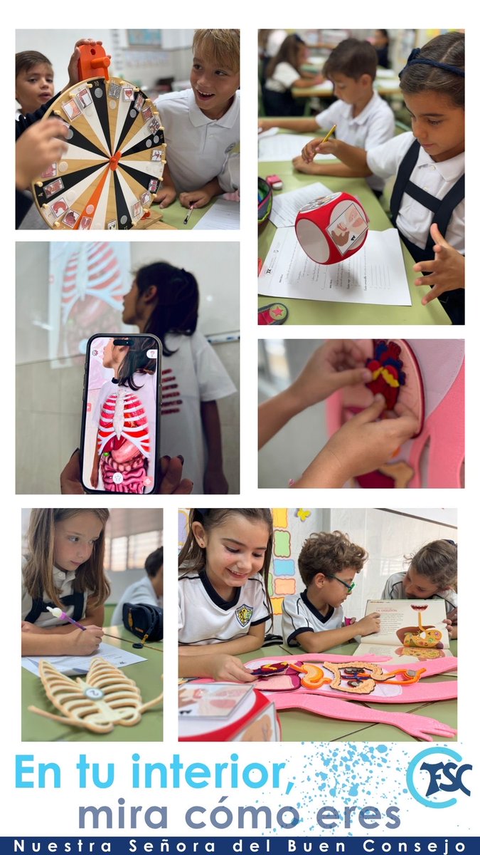 En 2º de Primaria, aprendemos cómo funciona nuestro cuerpo 🧠con una actividad por rincones súper divertida. 
Los niños exploran los sistemas y aparatos del cuerpo, realizando juegos, puzzles y retos visuales 🎲 que despiertan la curiosidad y el aprendizaje activo.

#ColegiosFSC