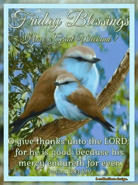 Dianna2645's tweet image. 🙏🤍🕊️🤍🕊️🌻🌺🌷🪷🌸🌹