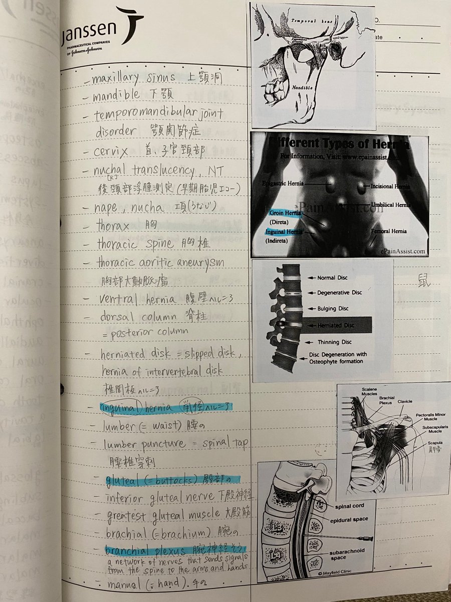 みすず｜英語 ICM医療通訳士® tweet media