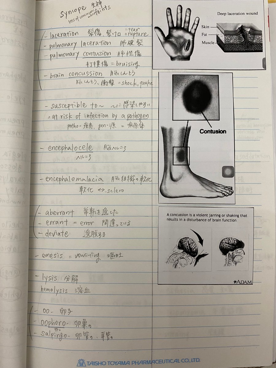 みすず｜英語 ICM医療通訳士® tweet media