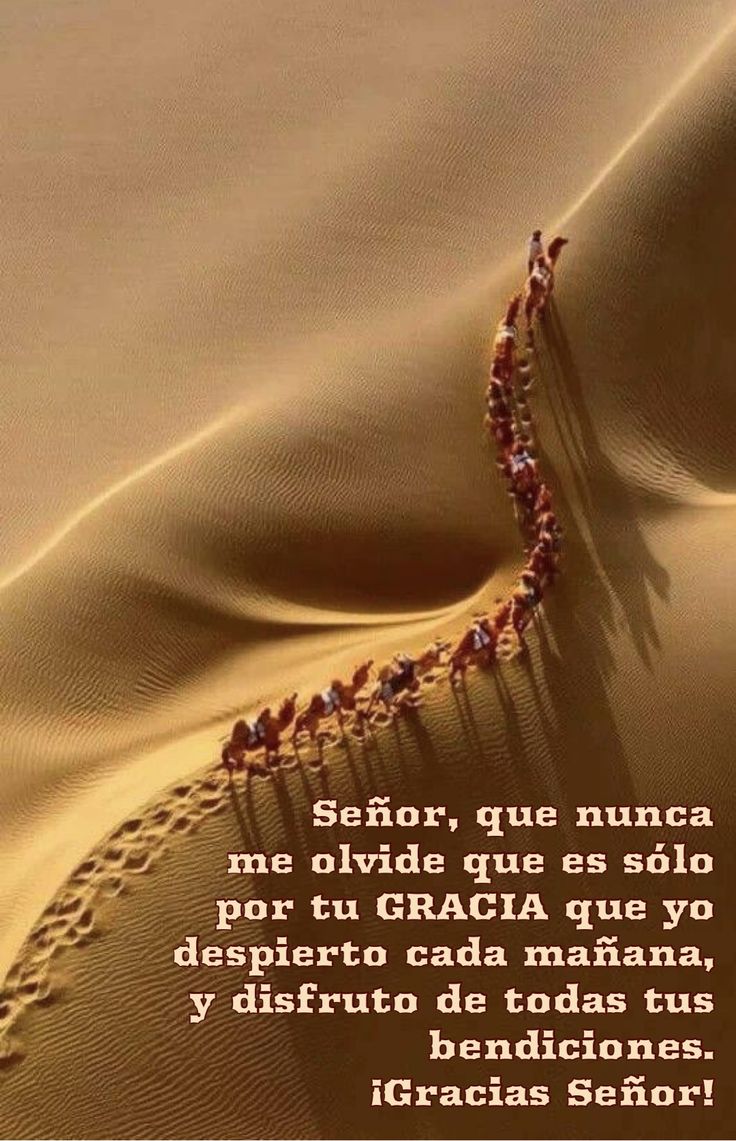 Lydia Esther tweet media