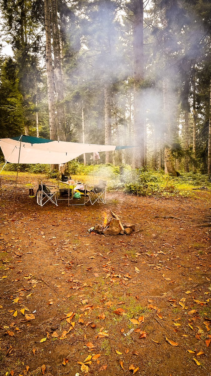 halil nuroğlu🌲 tweet media