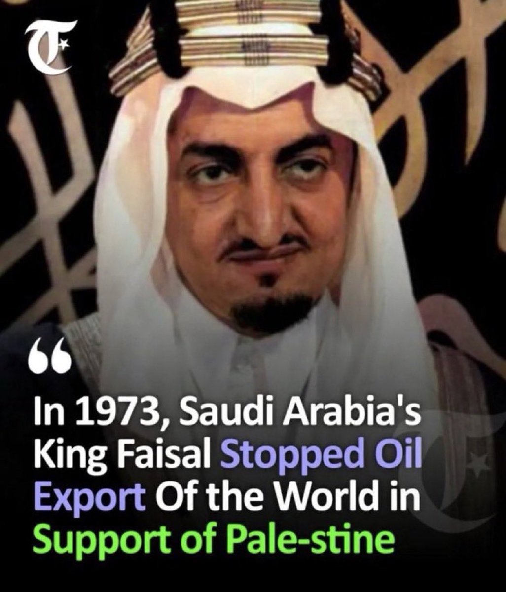 Halal Nation ☪︎ tweet media