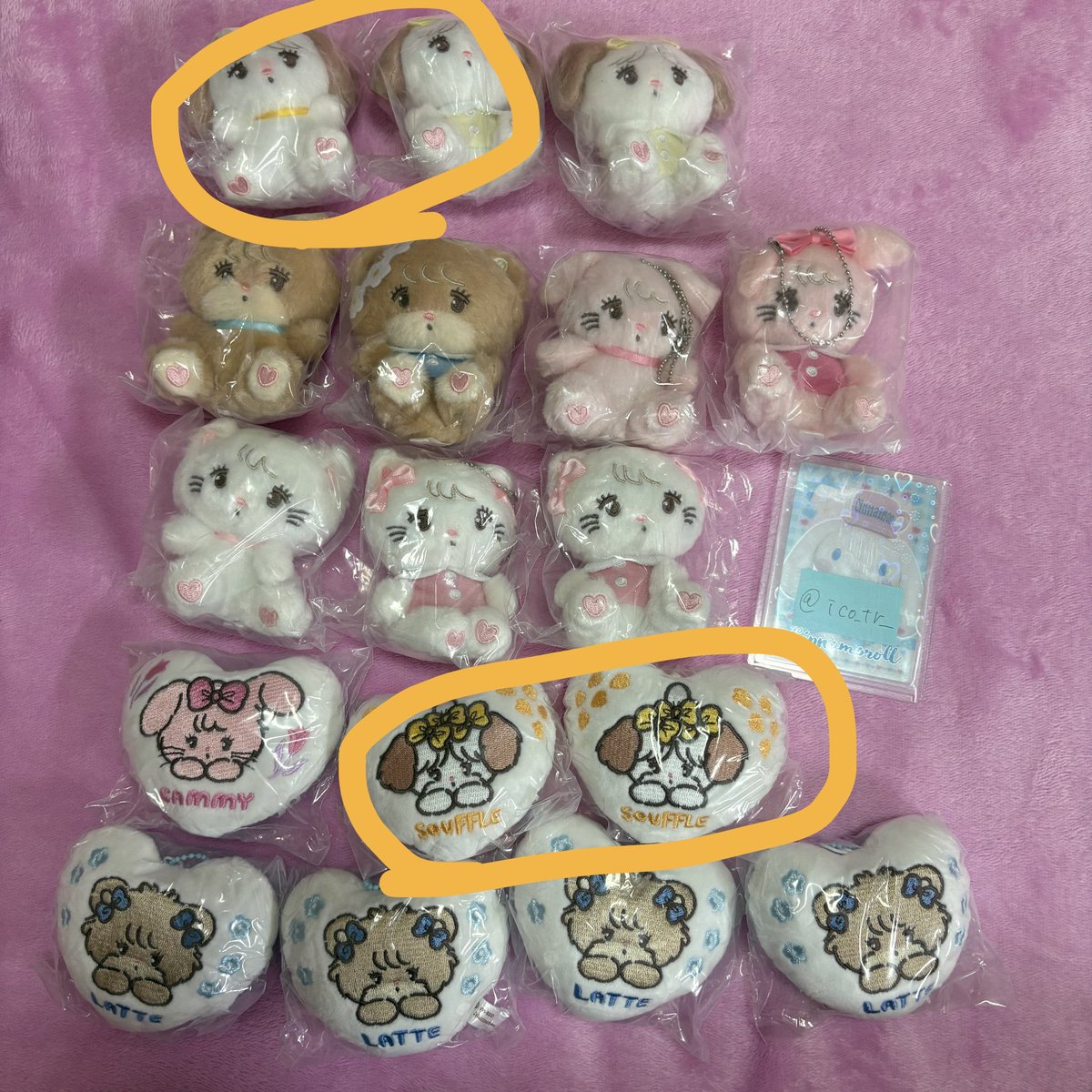 クロちゃんのしっぽ tweet media