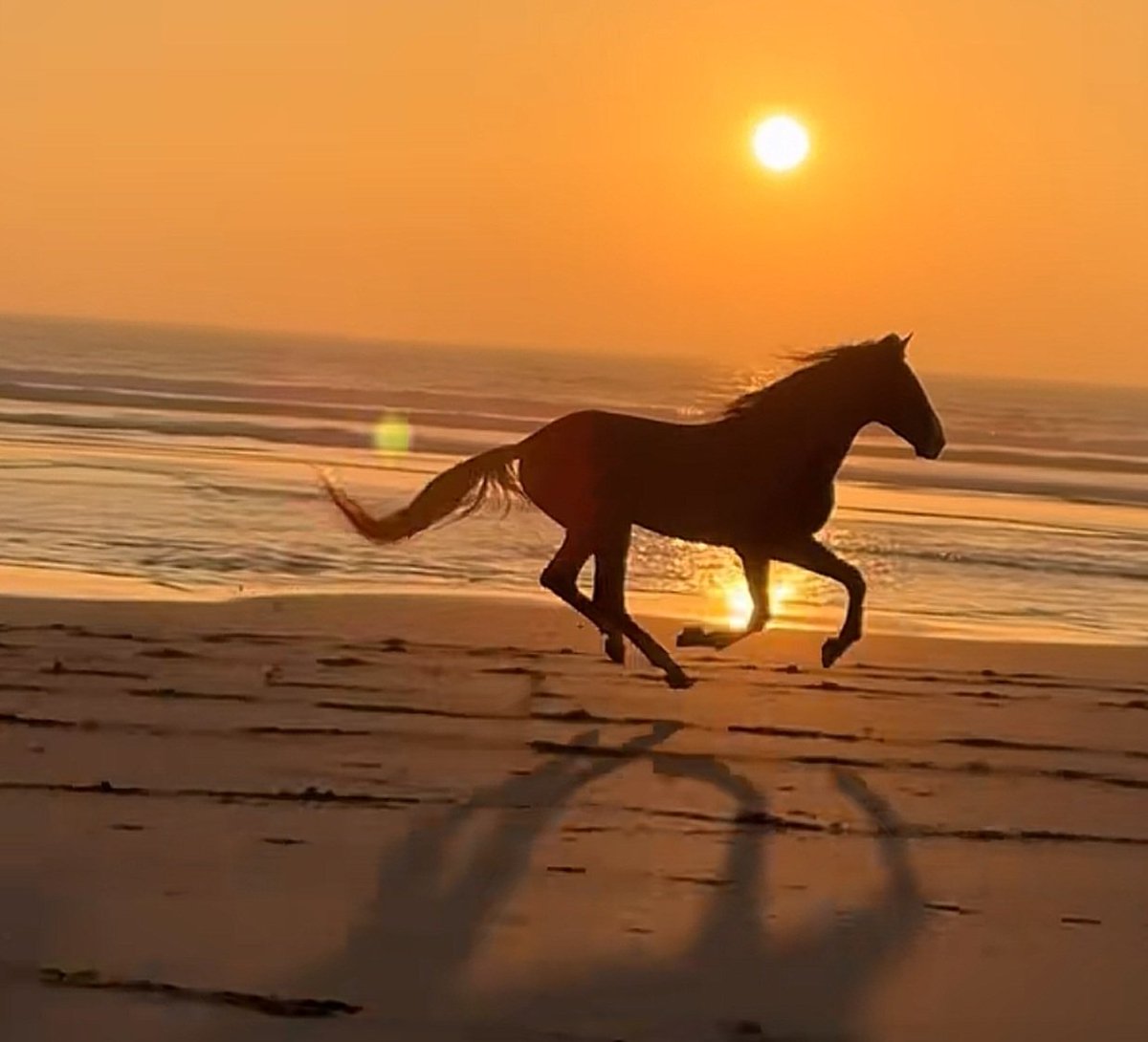 Good morning everyone
May your day soar to new heights 
#FridayMorning 
#Inspiration 
#blessed 
<a href="/glennEmartin/">Glenn E. Martin 🐐</a> 
<a href="/FrankDePalma9/">Frank De Palma</a> 
<a href="/wflower2001/">jackie 🥧🇺🇸</a>