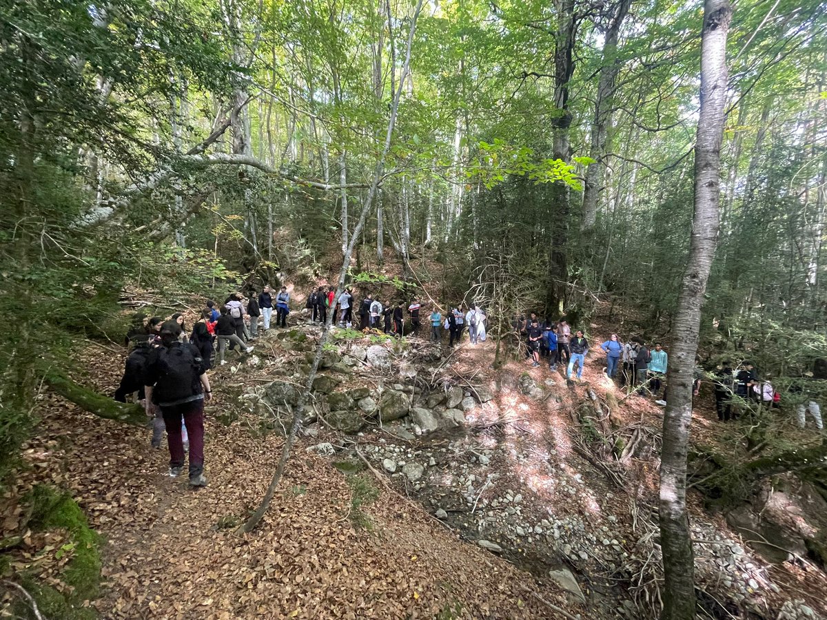 🌿 ¡Una semana INCREÍBLE!
Convivencia, diversión y aprendizaje entre:
🏫 IES Carlos Casares de Viana do Bolo (Orense)
🏫IES Galileo Galiley de Navia (Asturias)
Han compartido experiencias únicas, aprendido nuevas habilidades y conectado con la naturaleza… ¡y entre ellos! 💚✨