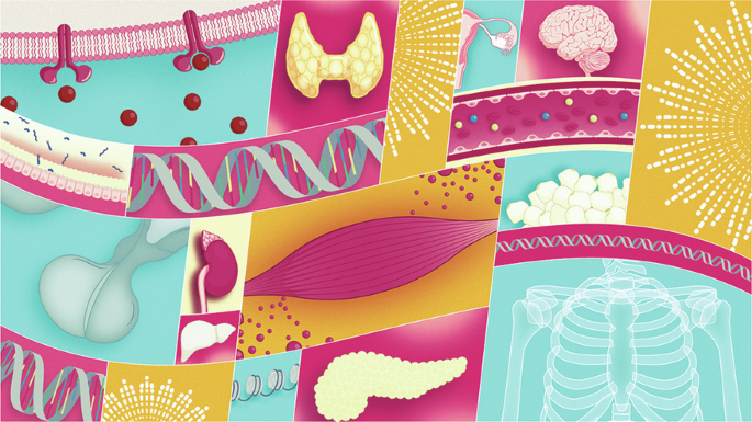New content online: Marking 20 years of Nature Reviews Endocrinology bit.ly/4obRdtl