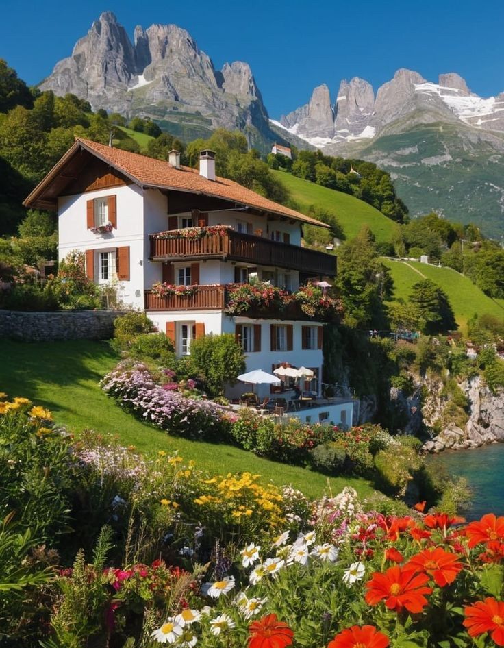 _ALESXIA's tweet image. #beautiful