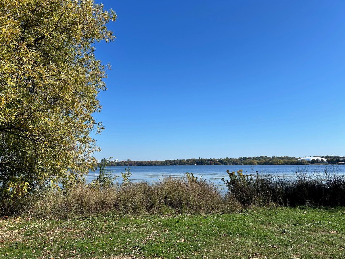 LawTorrie's tweet photo. Enjoyed another scenic stroll by Kingston's waterfront this week. The early weeks of the Fall term have blessed me with clear skies and warm sunshine, perfect for wandering around. 🌞🍁🦆 #KingstonWalks #FallExploration https://t.co/yz6qeYyf5G