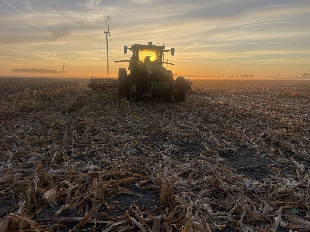 Noggle_Farms's tweet photo. Goooood morning all you glorious people. Seize the day! #harvest25 #BlackDirtMafia https://t.co/kGCT1toL21