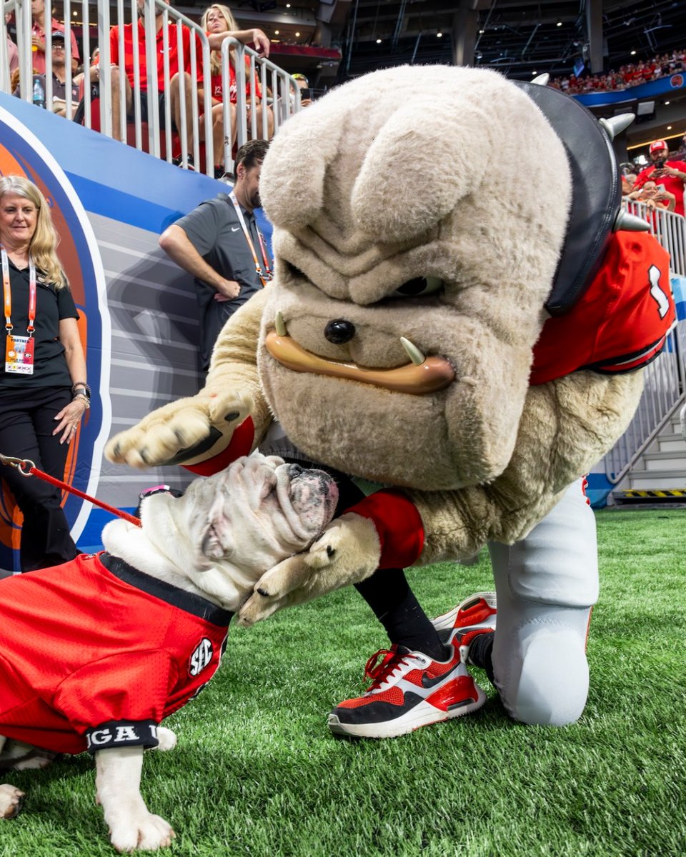 Think you know Hairy Dawg? Think again. 🤯

Uncover the surprising origin of one of college football’s most legendary icons at godaw.gs/Uu0T50X9p5a.  

#NeverBarkAlone