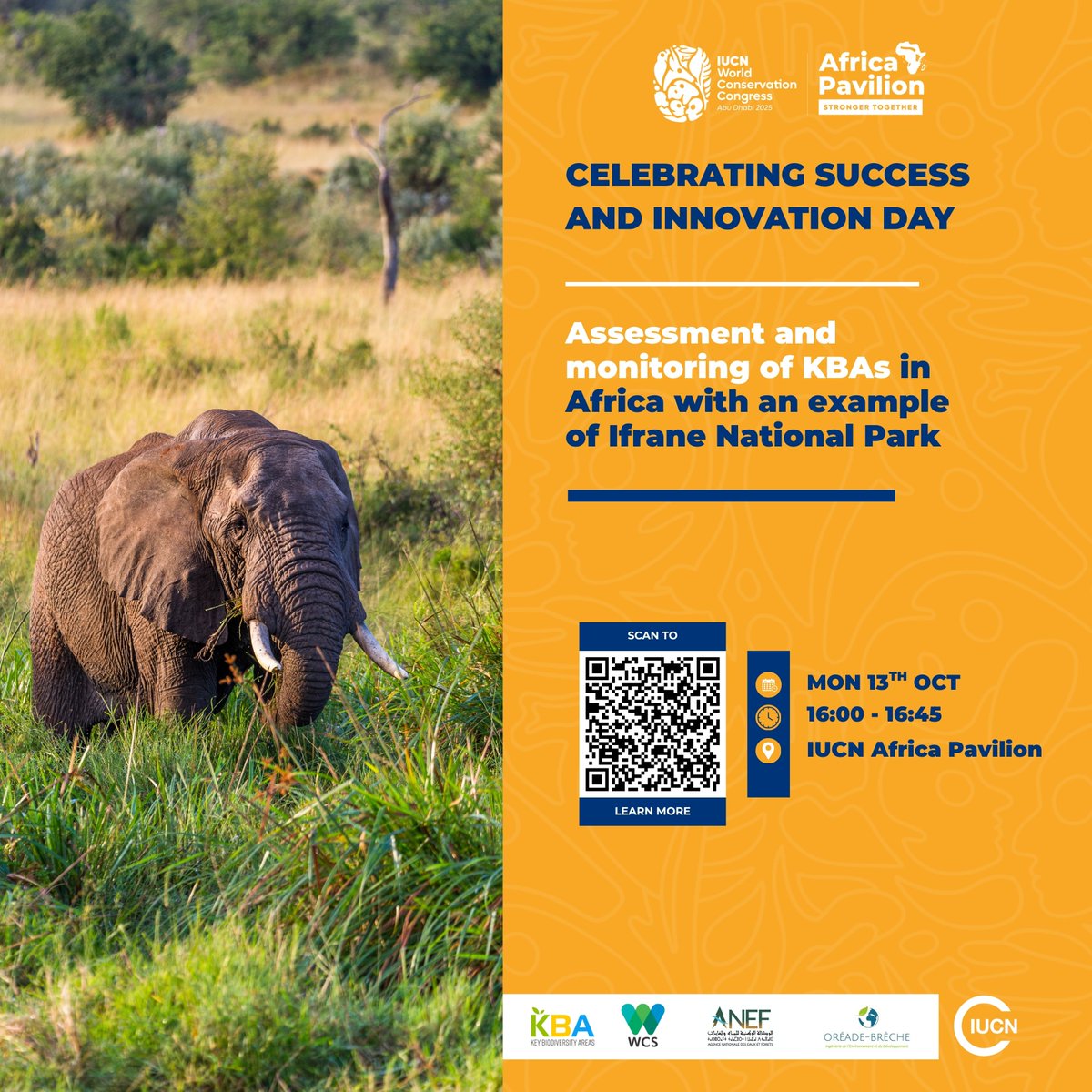 #KBAs at the #IUCNCongress | 𝗔𝘀𝘀𝗲𝘀𝘀𝗺𝗲𝗻𝘁 𝗮𝗻𝗱 𝗺𝗼𝗻𝗶𝘁𝗼𝗿𝗶𝗻𝗴 𝗼𝗳 𝗞𝗲𝘆 𝗕𝗶𝗼𝗱𝗶𝘃𝗲𝗿𝘀𝗶𝘁𝘆 𝗔𝗿𝗲𝗮𝘀 𝗶𝗻 𝗔𝗳𝗿𝗶𝗰𝗮 𝘄𝗶𝘁𝗵 𝗮 𝗰𝗮𝘀𝗲 𝘀𝘁𝘂𝗱𝘆 𝗼𝗳 𝗜𝗳𝗿𝗮𝗻𝗲 𝗡𝗮𝘁𝗶𝗼𝗻𝗮𝗹 𝗣𝗮𝗿𝗸
📅13/10/2025

🕘16.00–16.45pm
📍Africa Pavilion