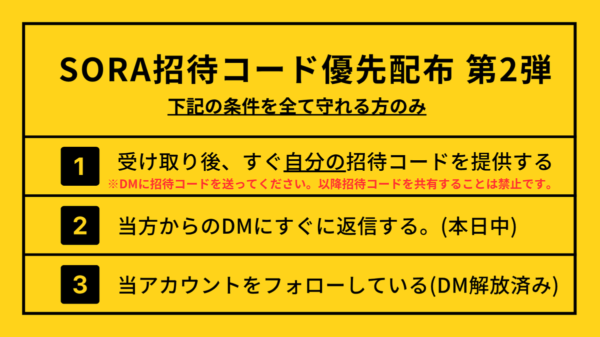 Sora_invite's tweet photo. 【Sora招待コード優先配布 第2弾⚡】

画像およびツリーの内容すべてにご同意いただける方のみ、リプライをお願いします。（先着100名）