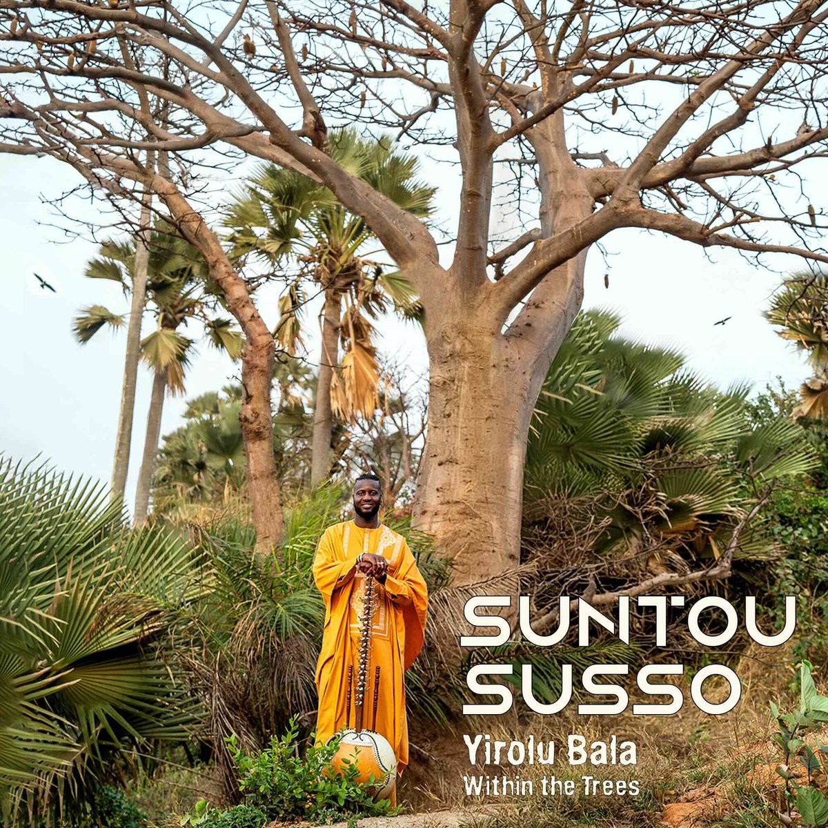 New Release Friday! 10.10.2025 "We need to protect the Earth. We need to plant more trees. And we need to act now" says master kora player #SuntouSusso as new single "Yirolu Bala" (Within The Trees) now streaming on <a href="/Spotify/">Spotify</a> <a href="/twobirdsinatree/">Two Birds In A Tree Publicity</a> 
open.spotify.com/album/6JN8zhOi…