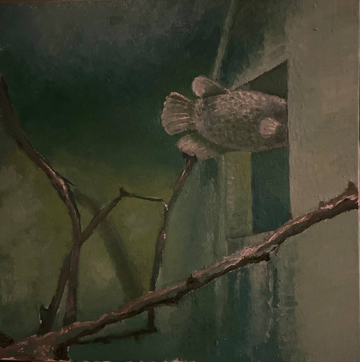 Картина замечательной (молодой и красивой) беларусской художницы Марии Санько <a href="/xmarkaxsanko/">Magdalinova</a> Картина продается автором. 25х25, холст, масло. Покупаем рыбов, поддерживаем художницу) Репост приветствую.