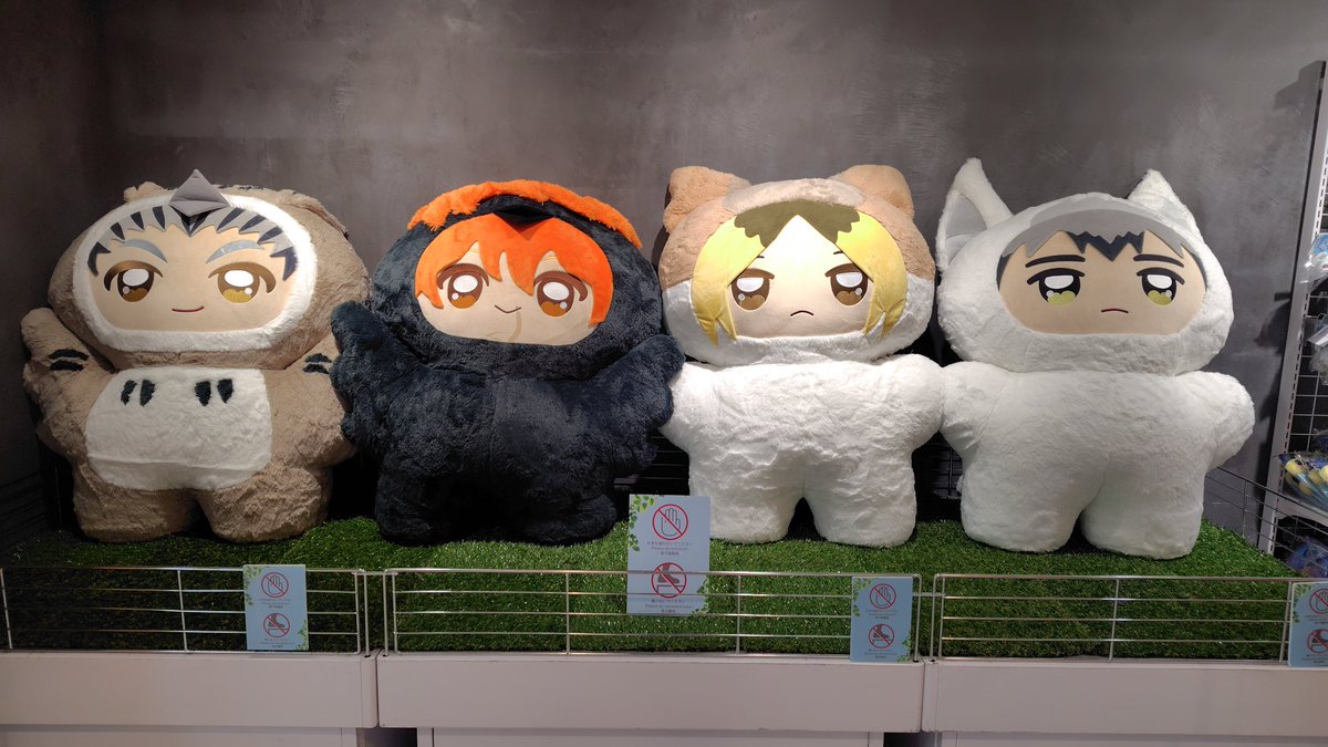 mido_u13's tweet image. 池袋アニメイト行って見てきました
めっちゃ可愛い