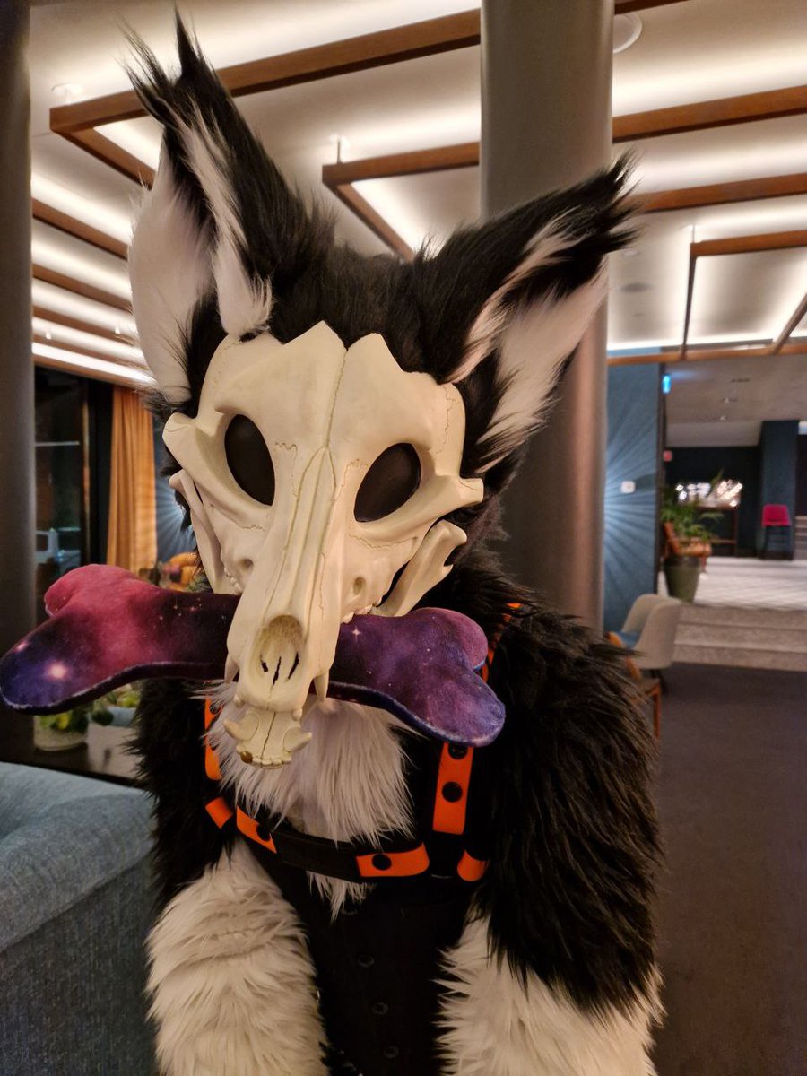 Wolfspawn1's tweet image. For this #FursuitFriday Coming at you live from #Furnavia 

Funny, we were basically in a record-breaking extratropical cyclone (Amy) that swooped over Norway just hours after these pictures were taken! 😅

📸Sorry, don't know who took the Ball picture xD
📸@Pusvei