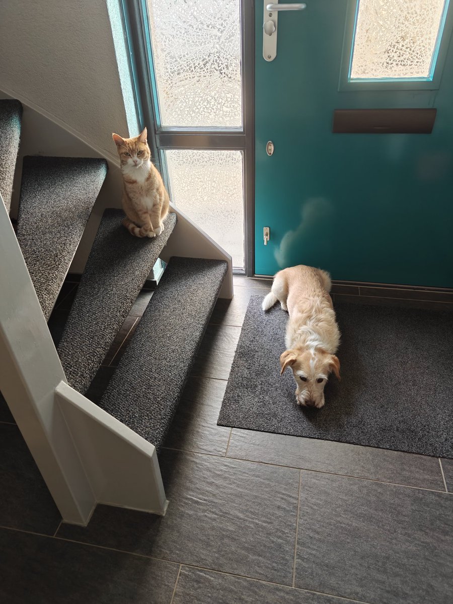 Zouden ze wat van mij willen?