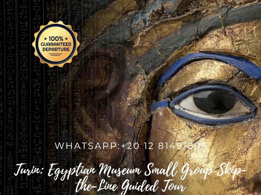 TourGreat149204's tweet photo. Turin: Egyptian Museum Small Group Skip-the-Line Guided Tour.
Discover the history and mystery of the great Egyptian Empire and see the Tomb of Kha Temple. Enjoy a small group guided tour of Turin's Egyptian Museum.
WhatsApp:+20 12 81491896
Email:info@tourgreat0.com https://t.co/CAgehqYyGG