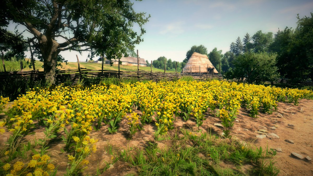 GoBlue92 tweet media