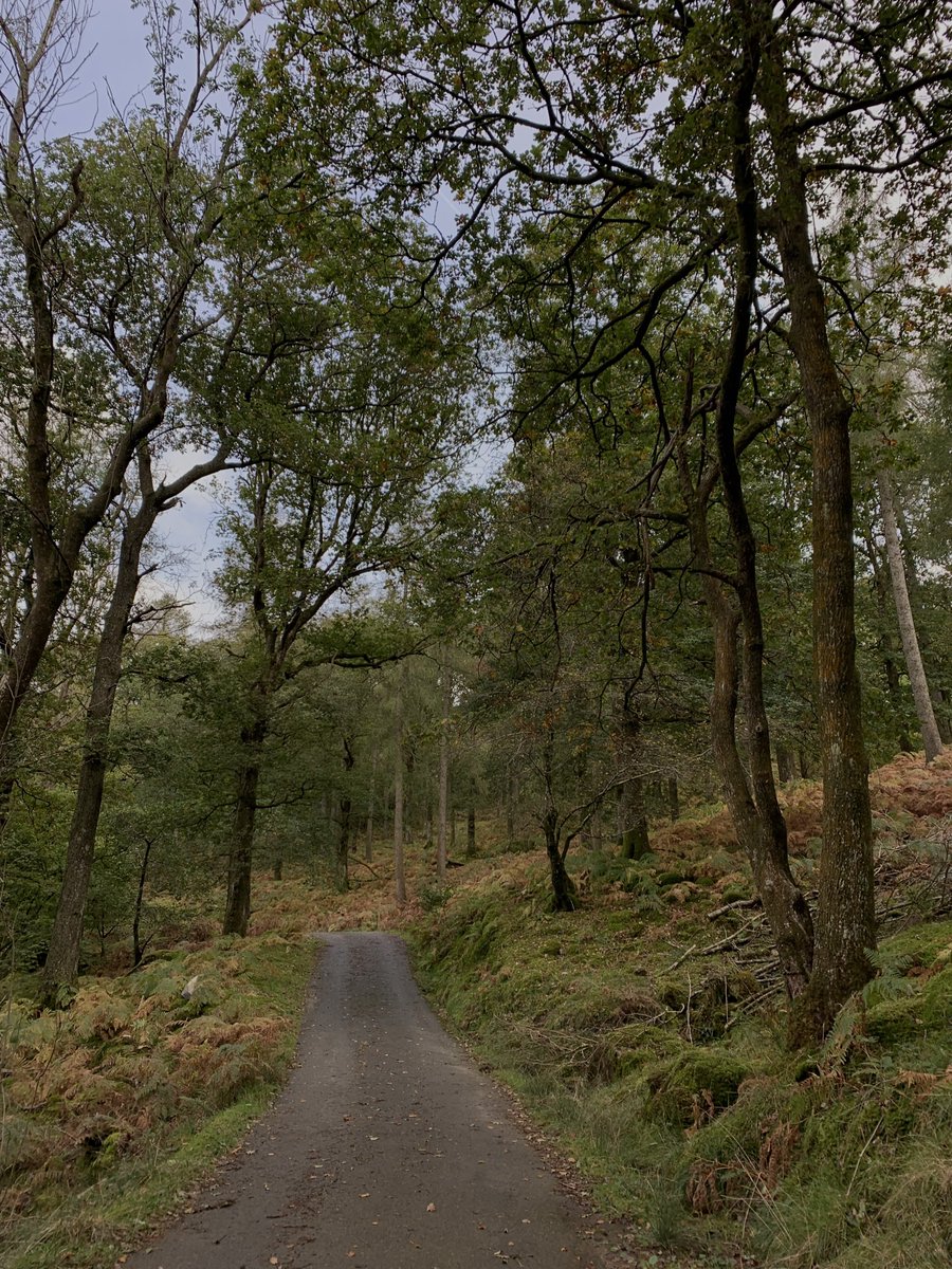 four years ago today i went on the walk that made me fall in love with walking :) and i’ve been walking almost every day since <3