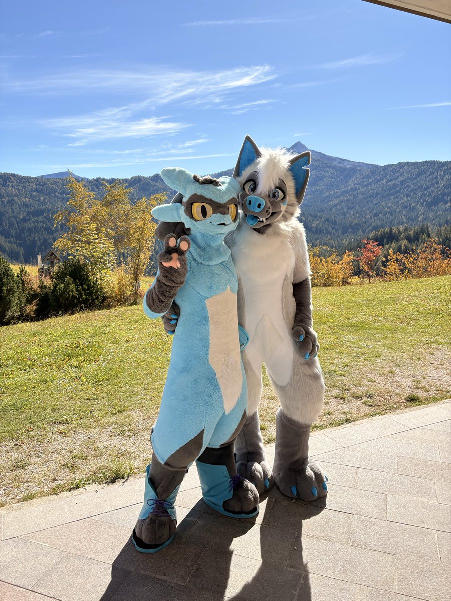 My roomie is alright 😌 <a href="/SpaceCatLeon/">Leon 🔜 Riverside, RFR, NFC</a> 
📸: <a href="/Kaomoro97/">KAOMORO</a>  #FZRiverside