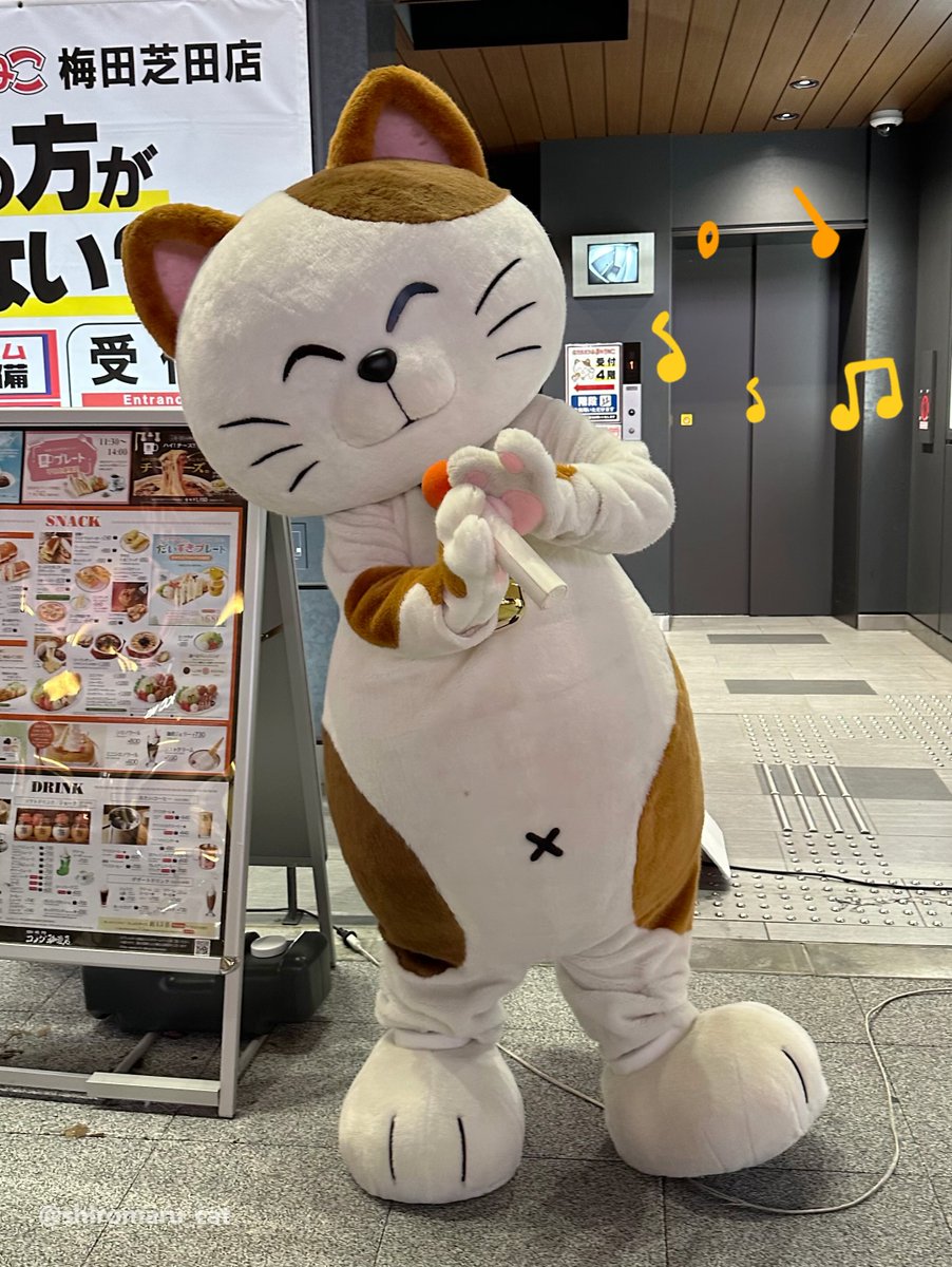 カラオケまねきねこ - Cerca / X