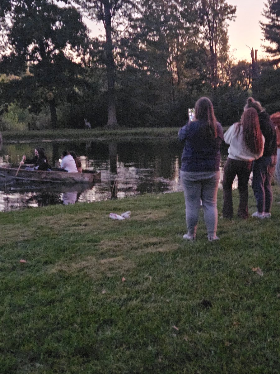 Troy Lewis tweet media