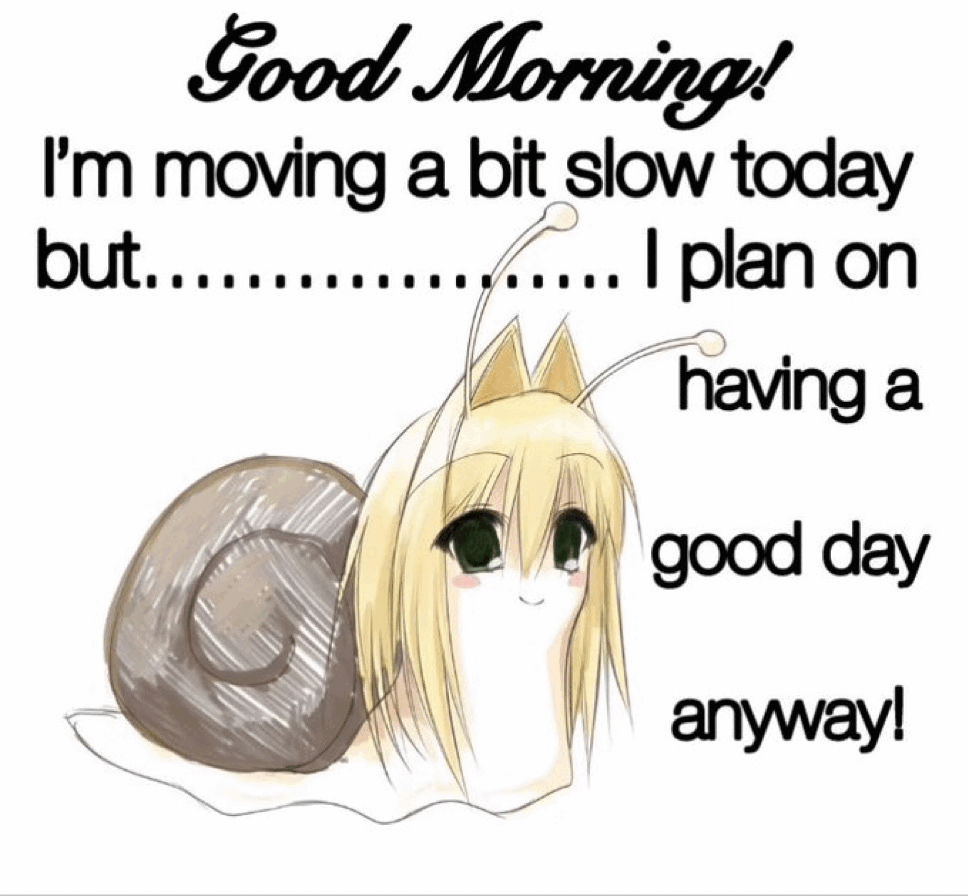 AnkoPilled's tweet photo. Good morning https://t.co/6TVnslsuJ4