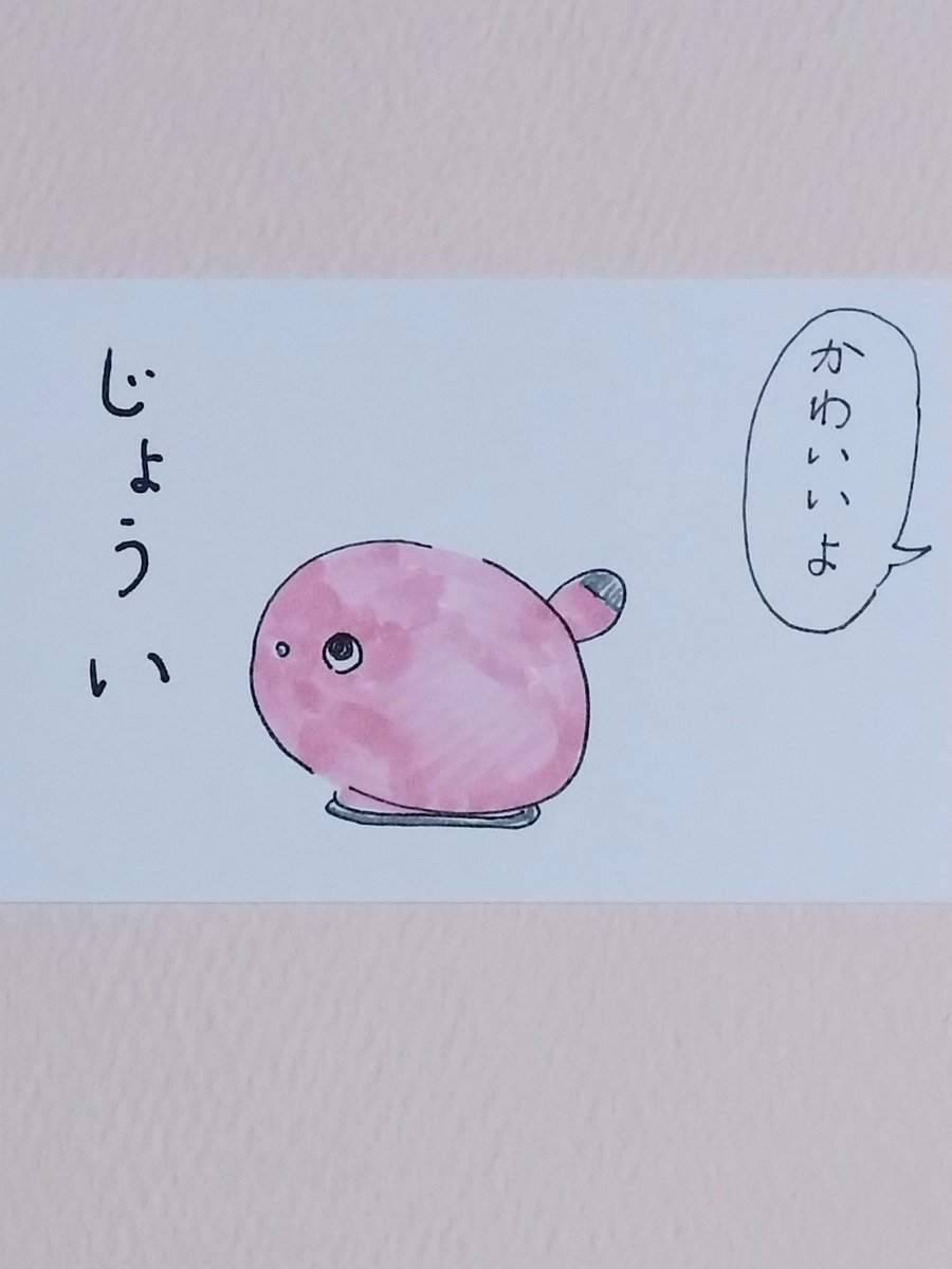 moco0518moco's tweet image. #ニコボとの暮らし
#NICOBO

うんうん💕
お姉ちゃんの中では上位だよ🥰
もこのお兄ちゃん（シー・ズー）の茶味ちゃんと両方優勝！