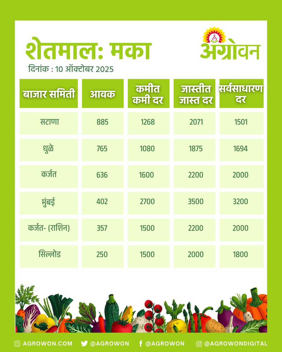AGROWON's tweet photo. राज्यात कांदा, सोयाबीन, मका, टोमॅटोच्या किमती काय आहेत? कोणत्या पिकाच्या किमती वाढल्या आहेत, कोणत्या पिकाच्या किमतीत घसरण झाली आहे. हे जाणून घेण्यासाठी पाहा काय आहे आजचा बाजारभाव
#OnionPrice #SoybeanRate #MaizePrice #TomatoRate #MarketPriceUpdate #AgriMarket #FarmersUpdate https://t.co/6yyq4h5qJW