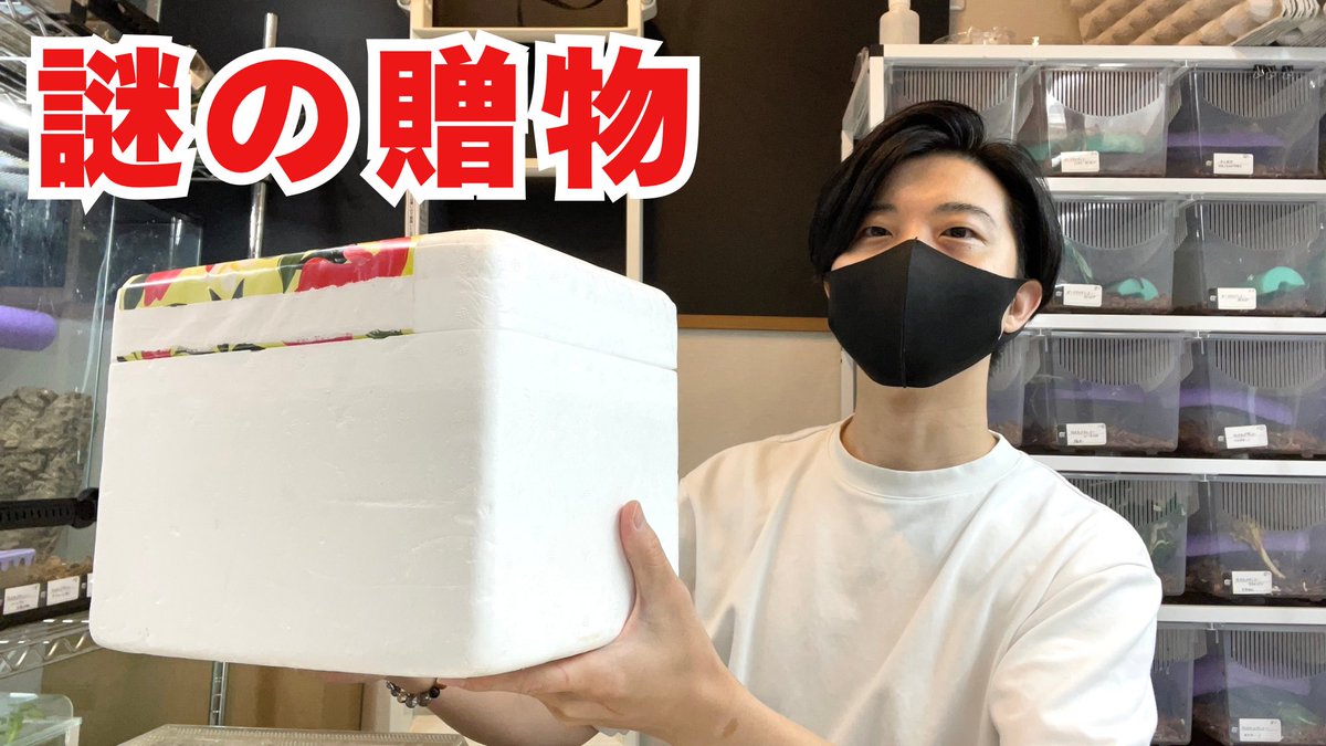 ししろく (@sisiroku446) / Posts / X